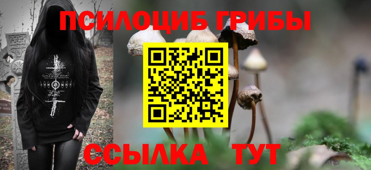 Псилоцибиновые грибы MAGIC MUSHROOMS Калининград